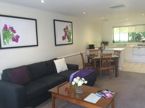 Apartment lounge and Kitchen area