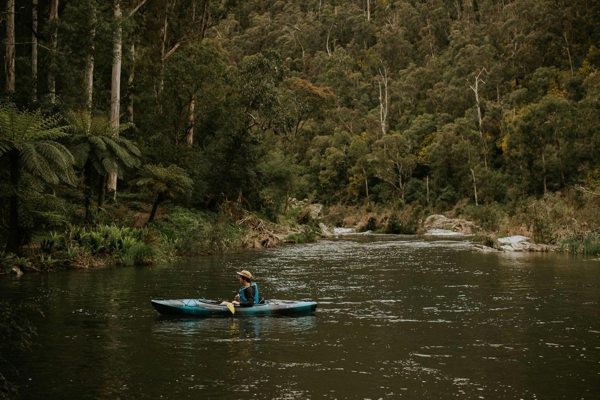 Thomson River
