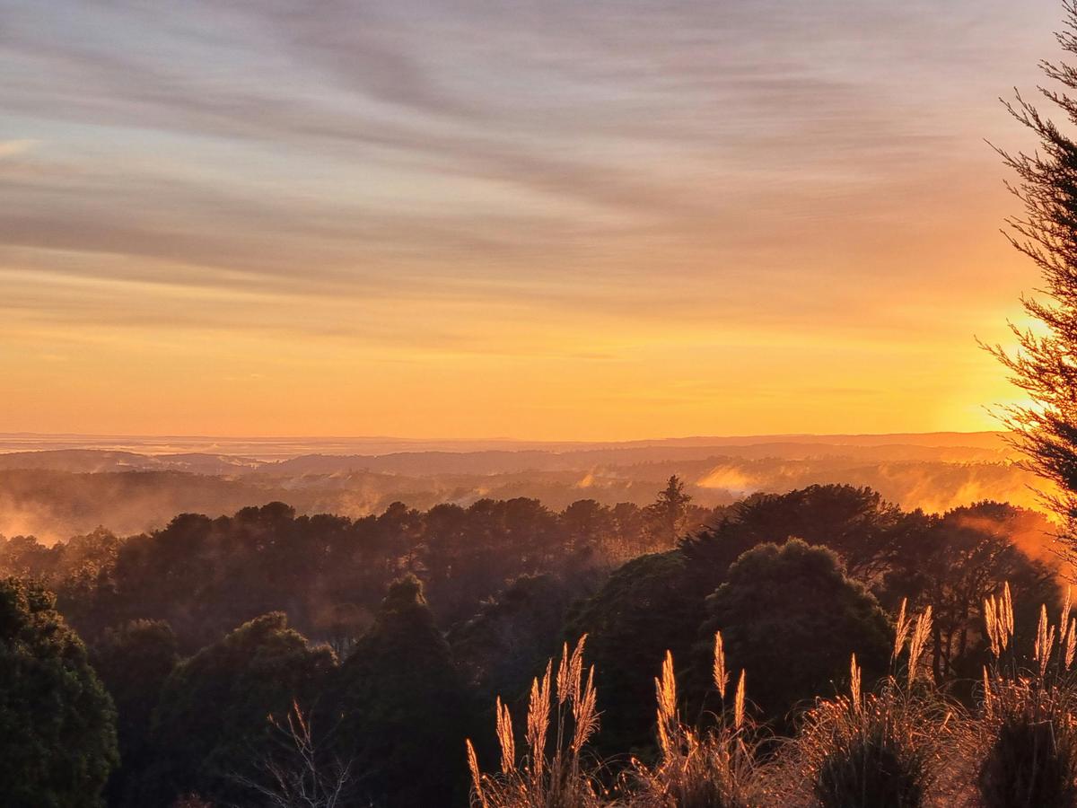 Sunrise from Beech Forest Cottage