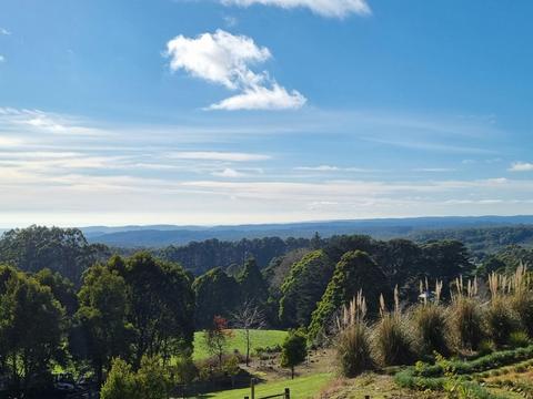 View from the cottage