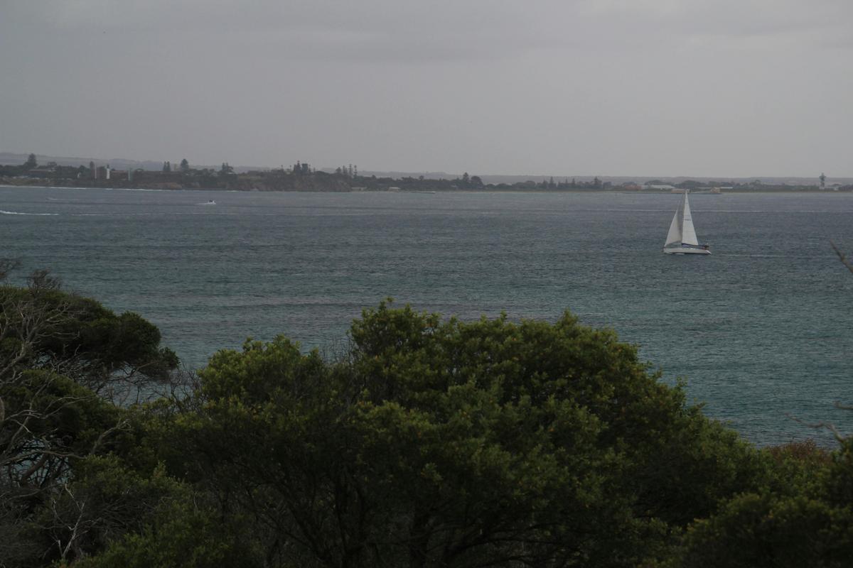 Coles Track (Point Nepean National Park)