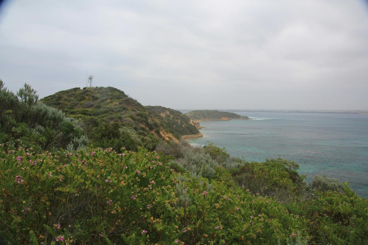 Coles Track (Point Nepean National Park)