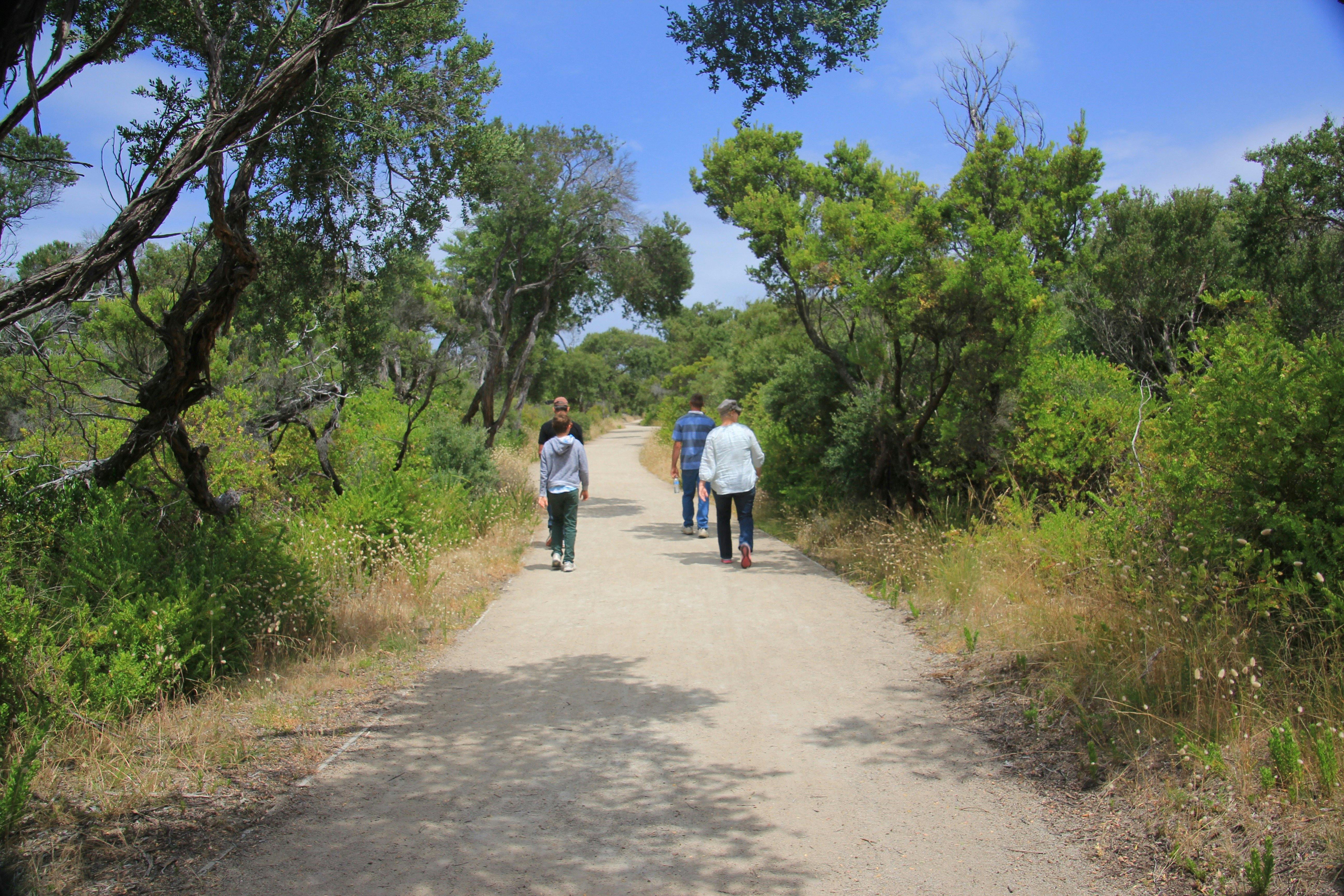 Coles Track (Point Nepean National Park)