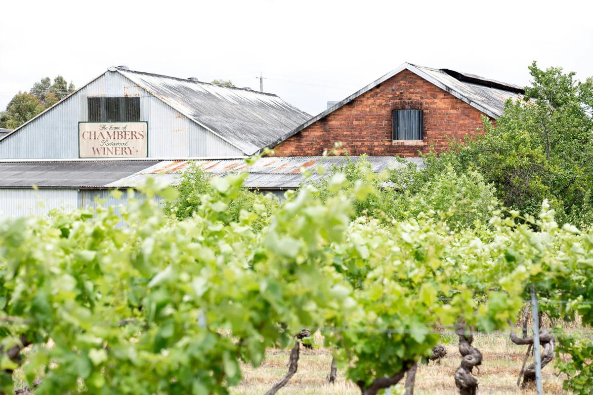Chambers Rosewood Vineyards and Winery