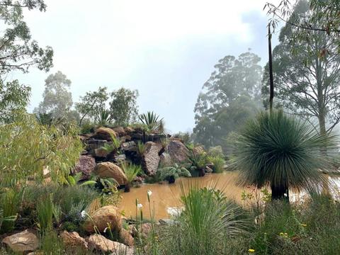 Chelsea Australian Garden at Olinda