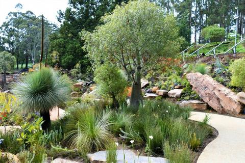 Chelsea Australian Garden at Olinda