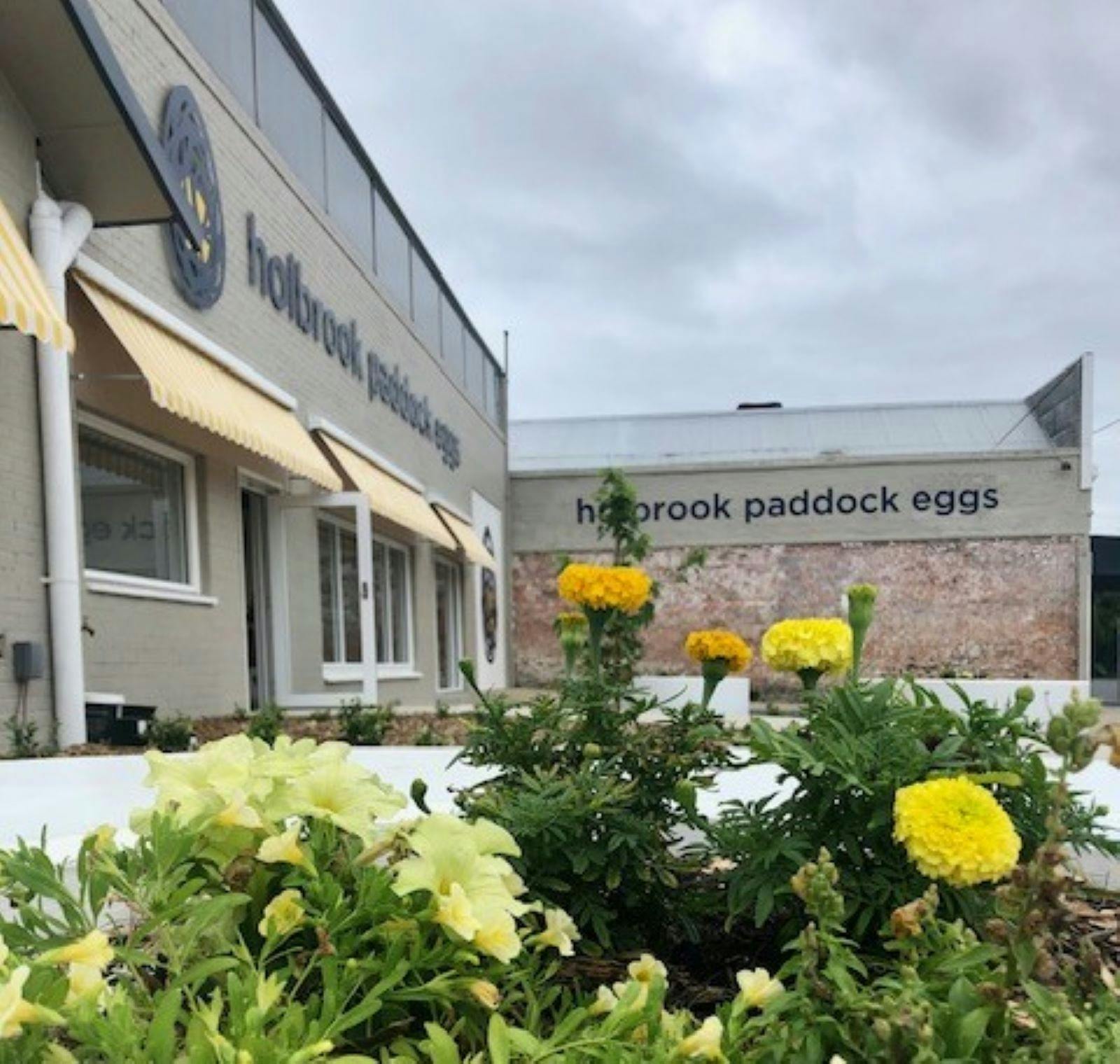 Outside of Holbrook Paddock Eggs, taken through yellow flowers