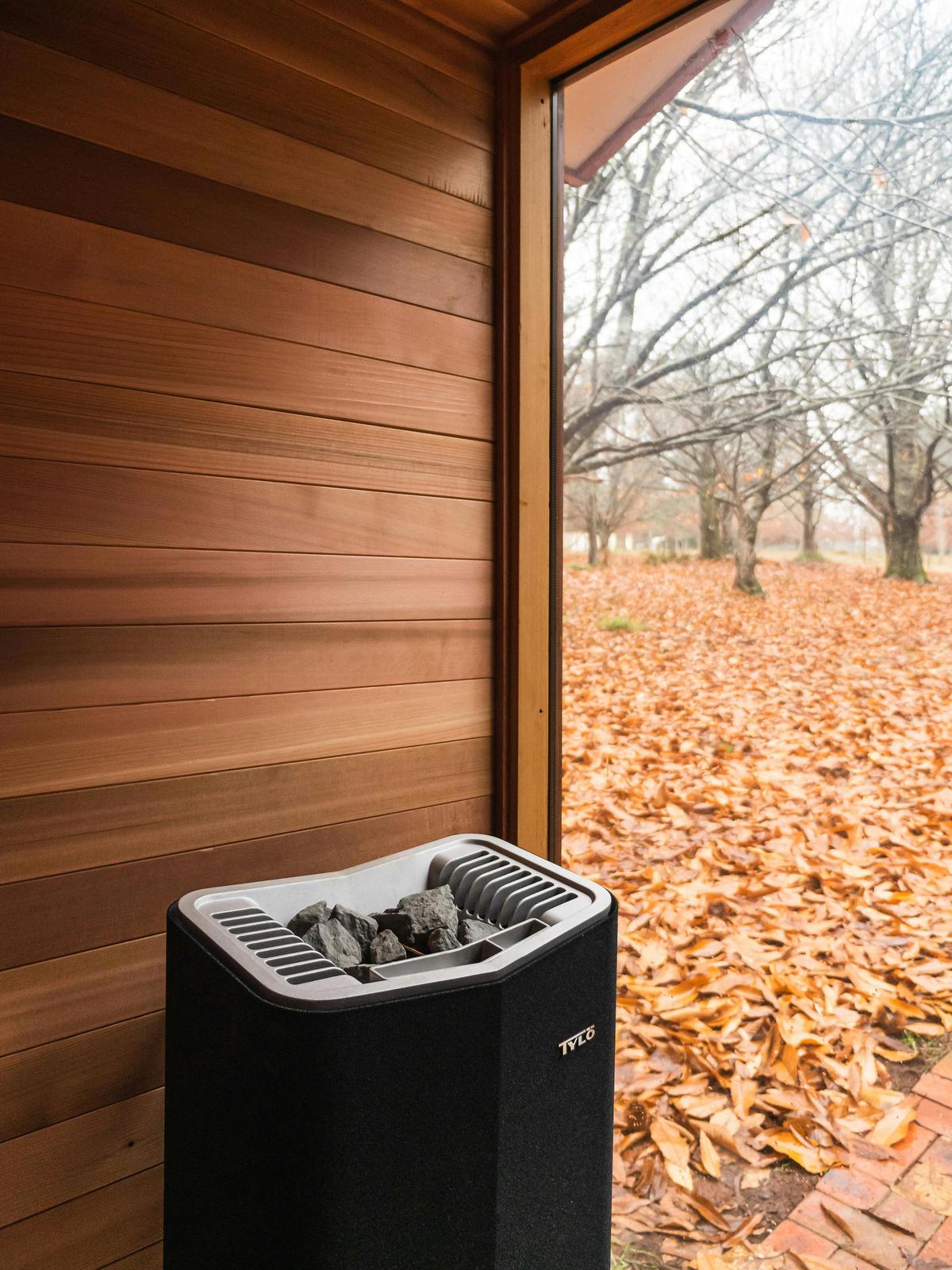 castanea sauna