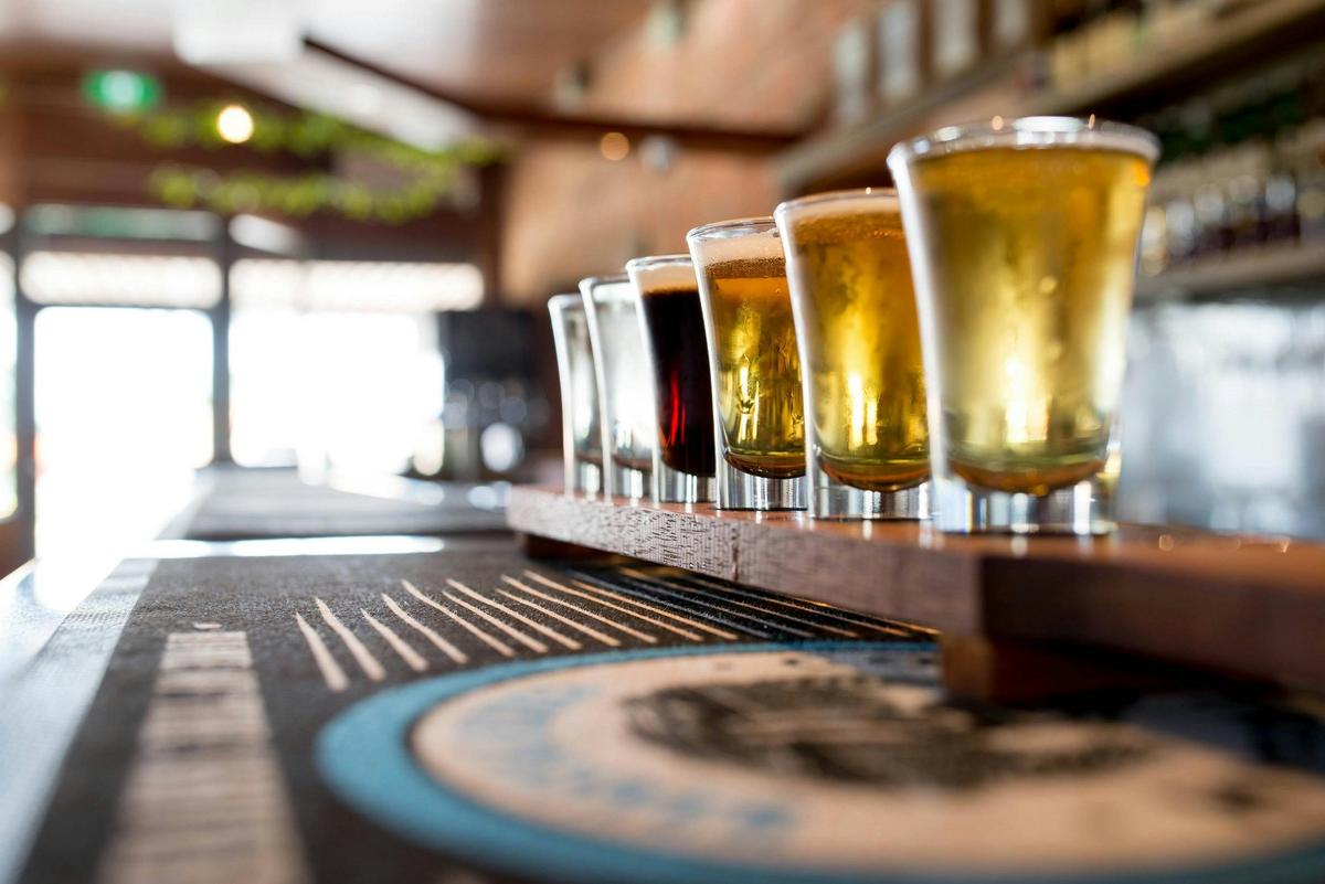 Guided tasting sessions included