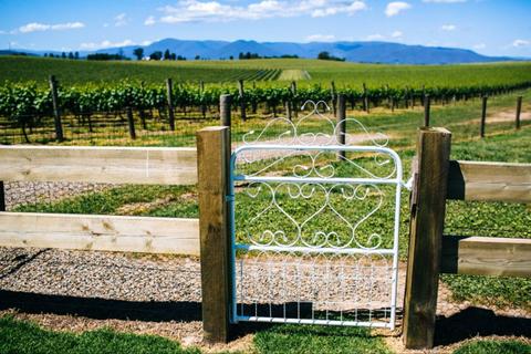 Yarra Valley Winery Tour Public