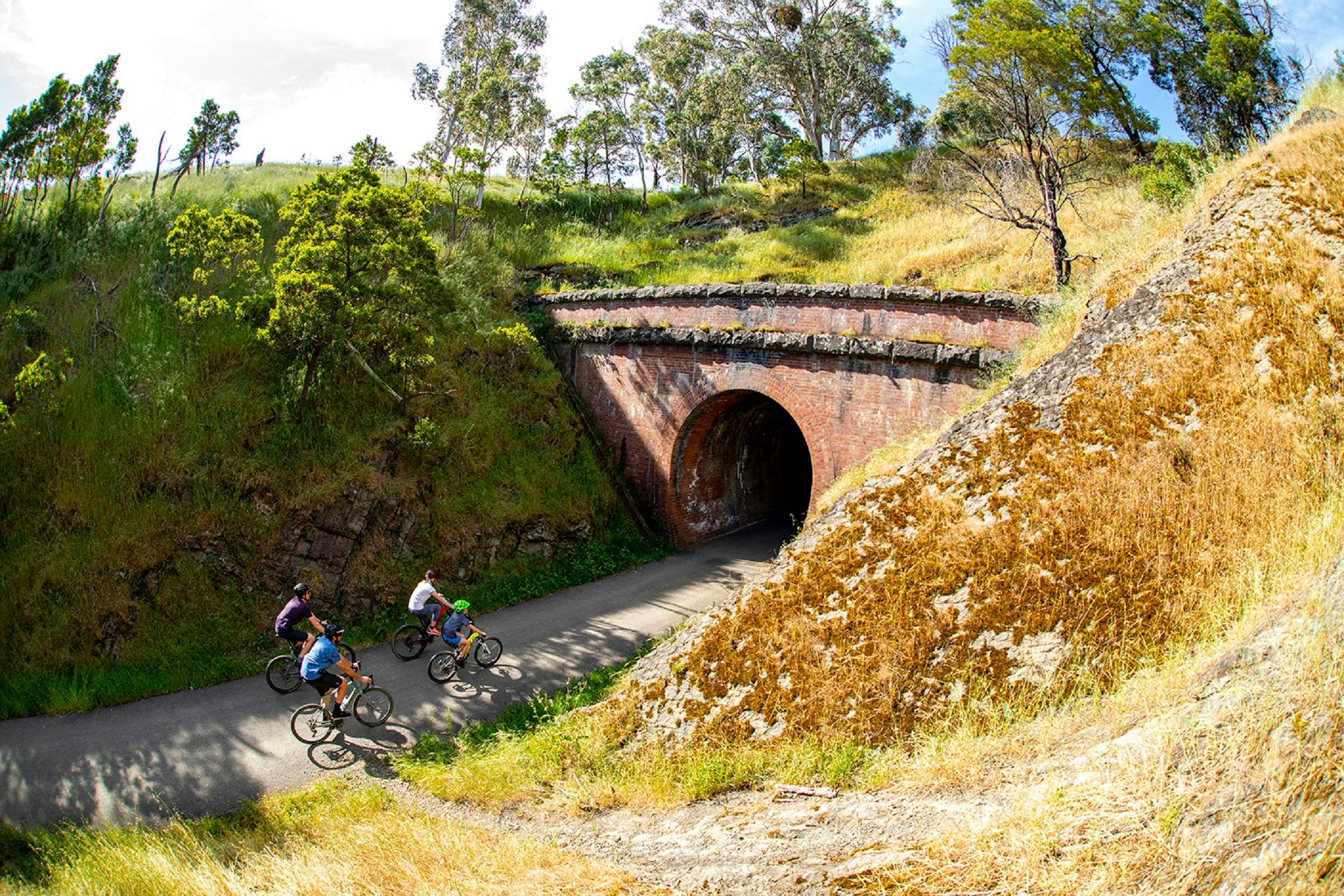 Cheviot Tunnel