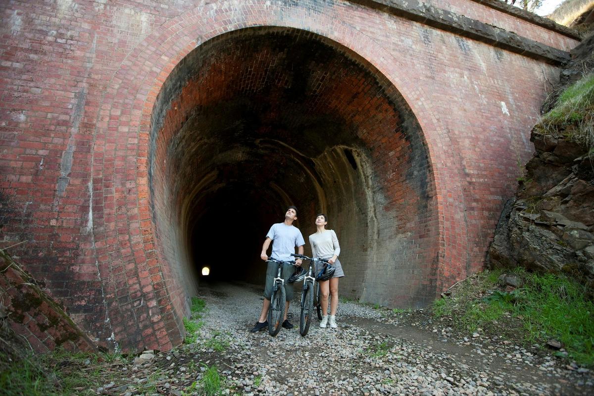 Cheviot Tunnel