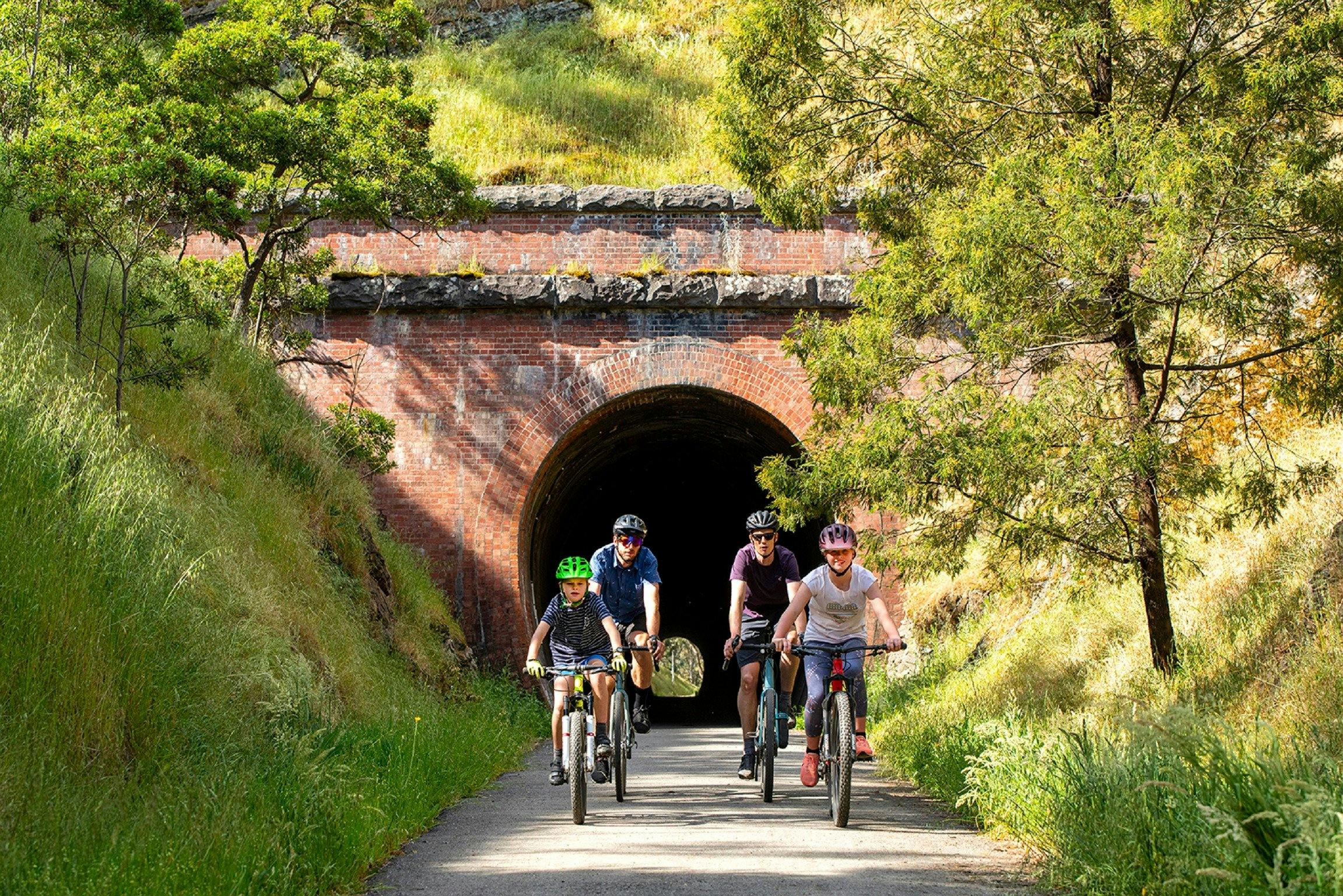 Cheviot Tunnel