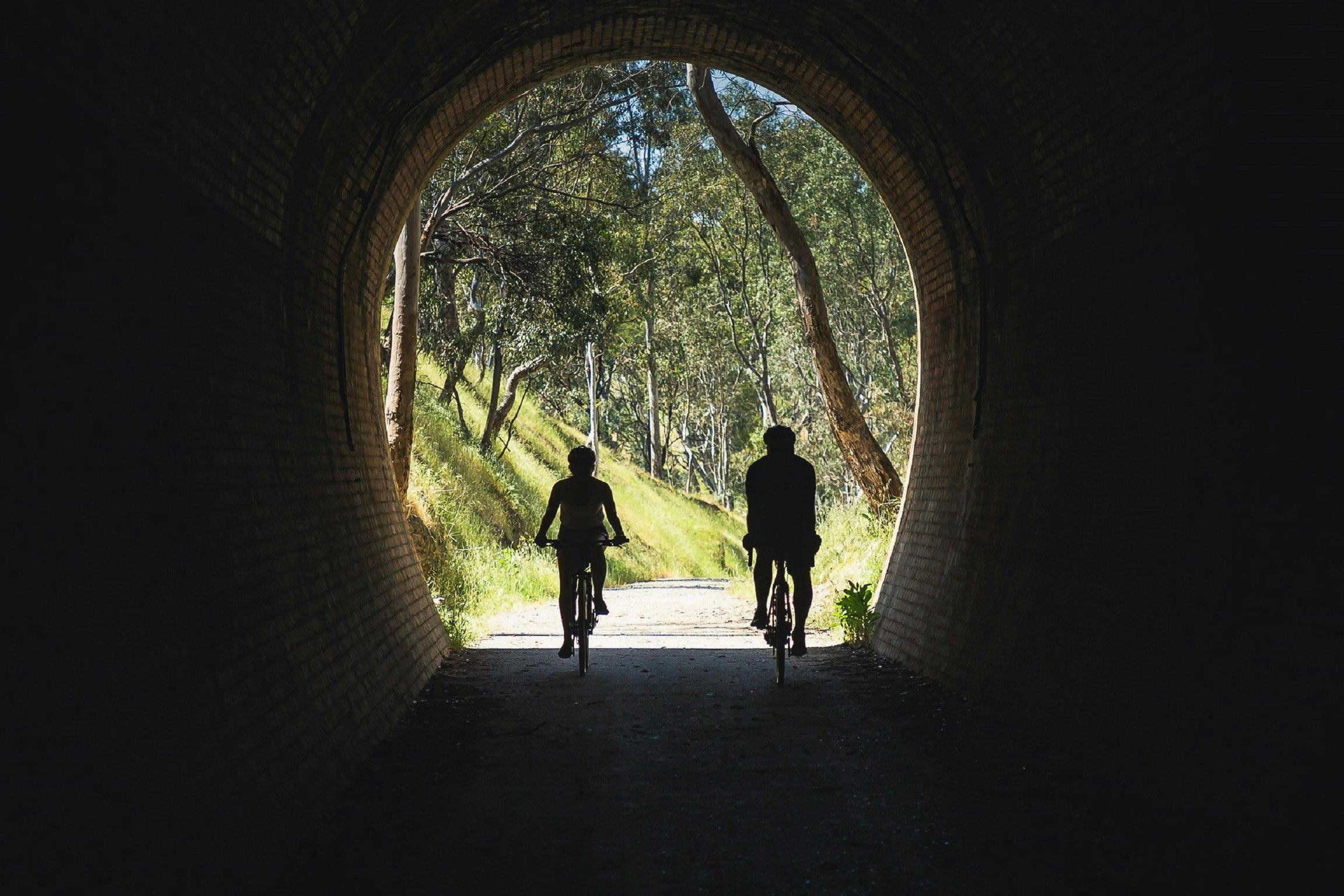 Cheviot Tunnel