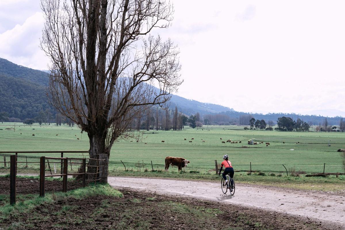 Corryong