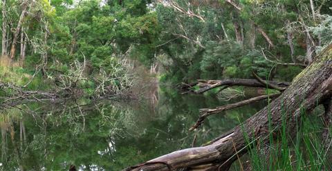Crawford River Regional Park