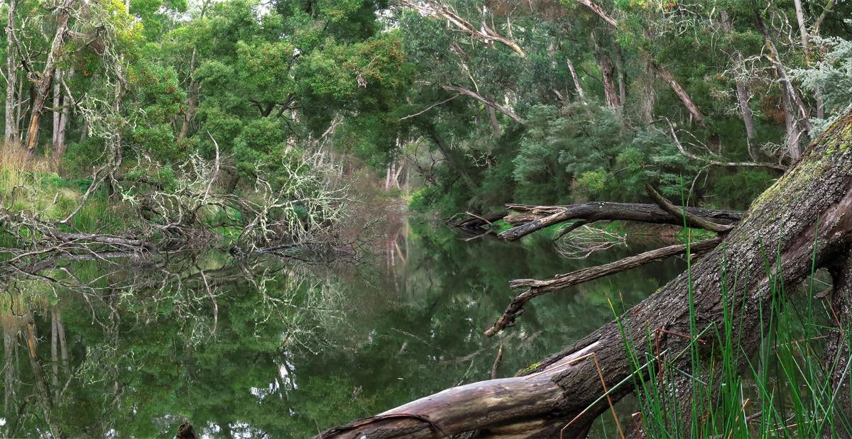 Crawford River Regional Park