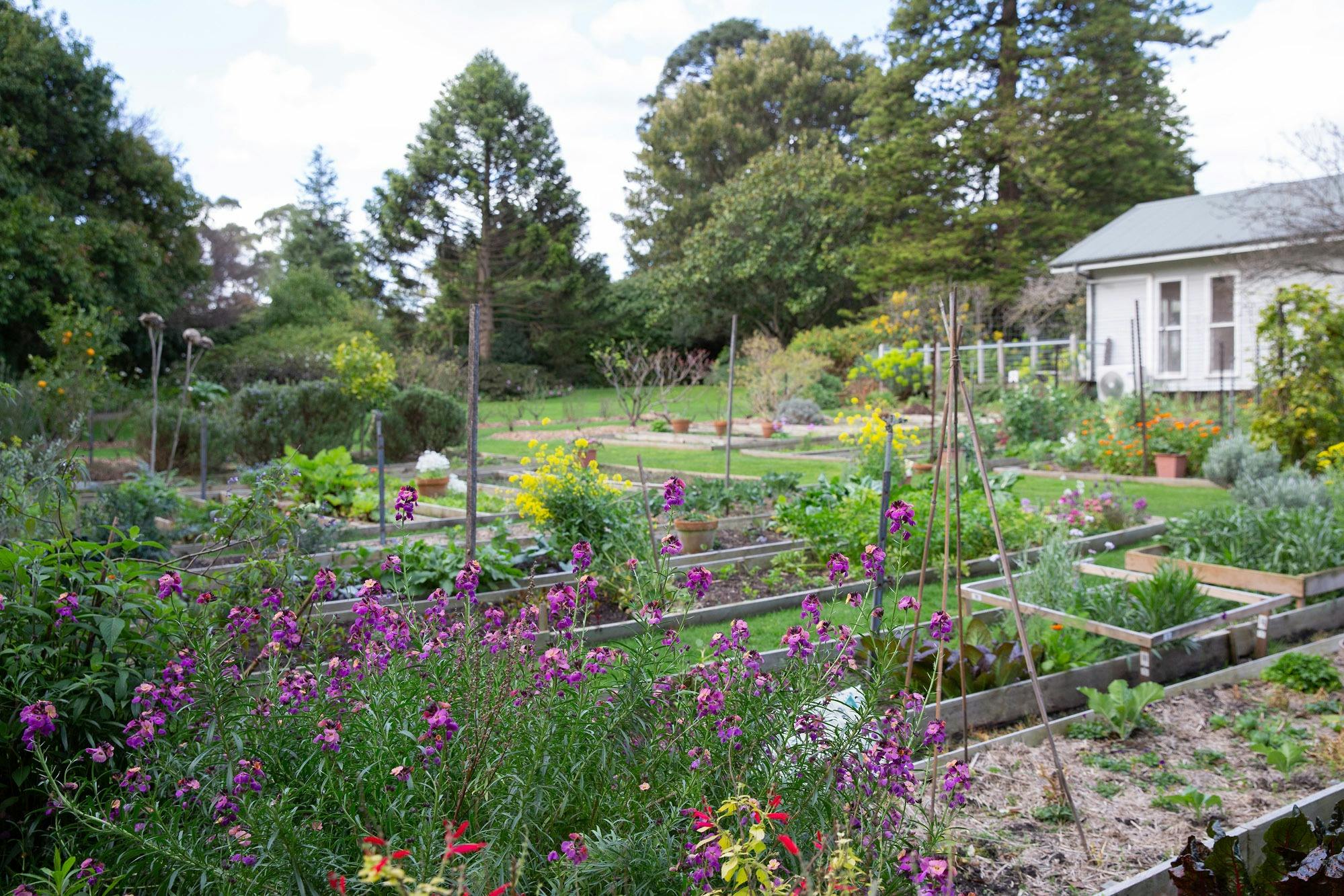 Como House Kitchen Garden