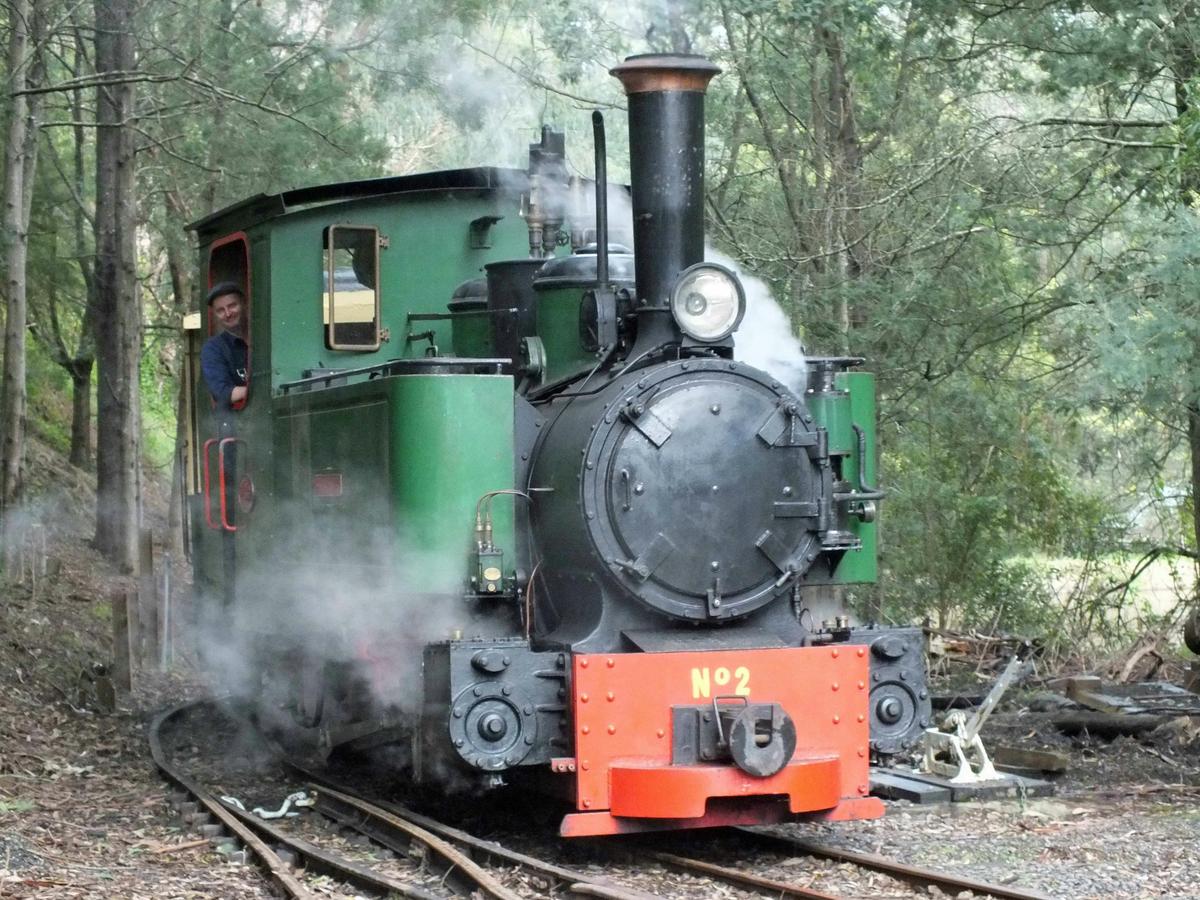 Count Strzelecki Steam Train
