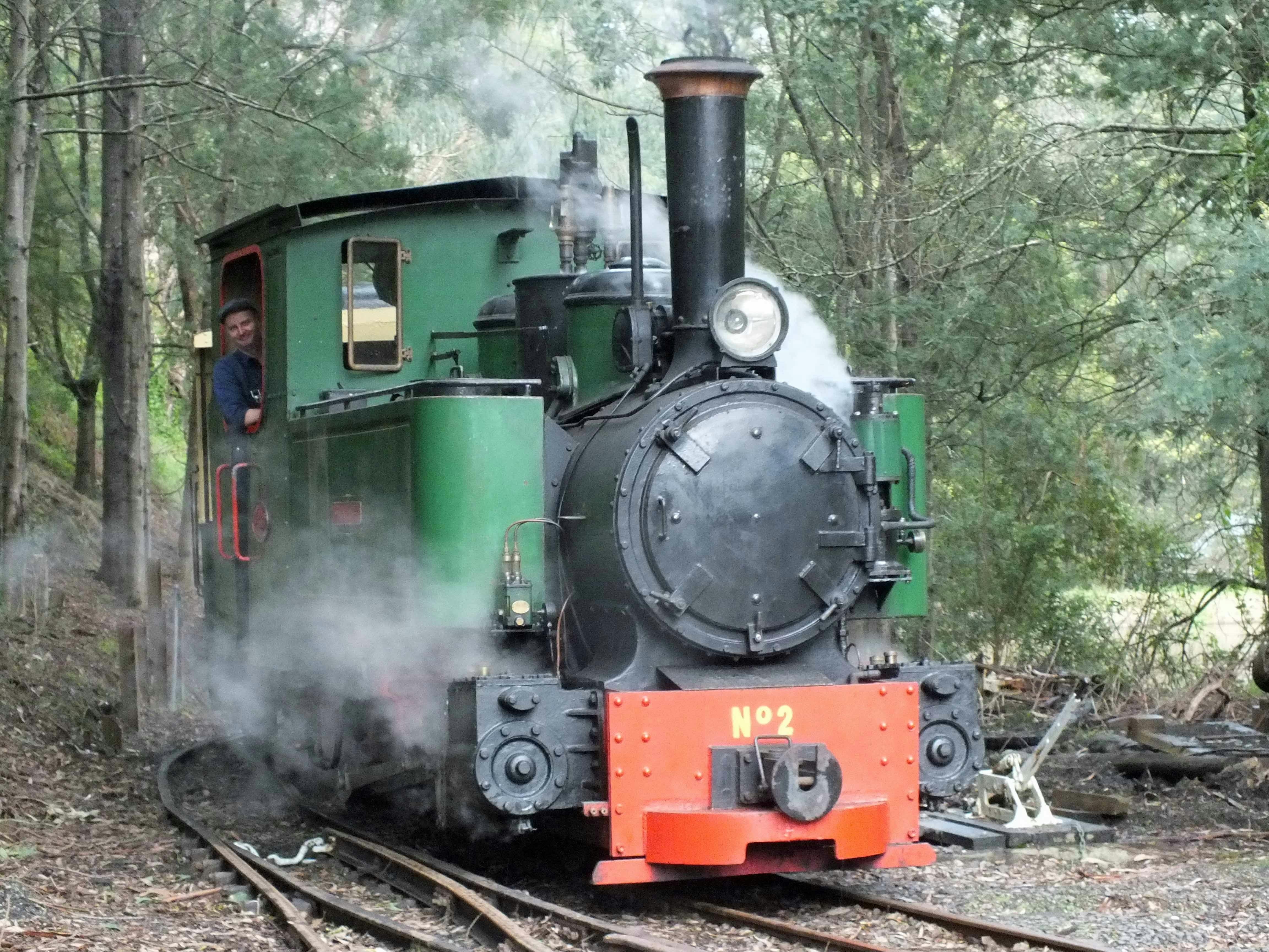 Count Strzelecki Steam Train