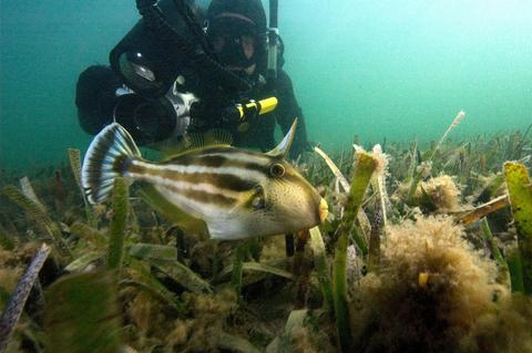 Corner Inlet Marine National Park