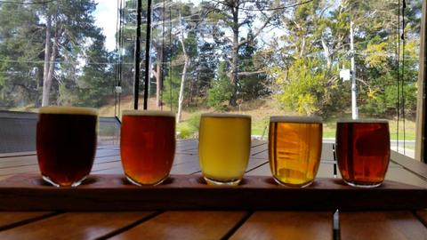 Cubby Haus Brewing - Brewery and Bar