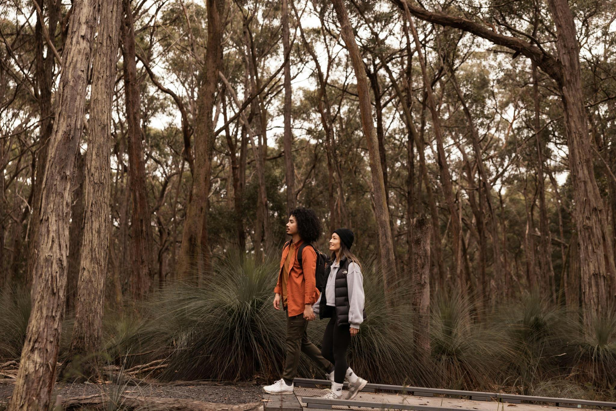 Walking through the forest