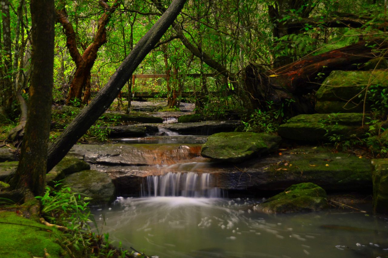 The Grotto