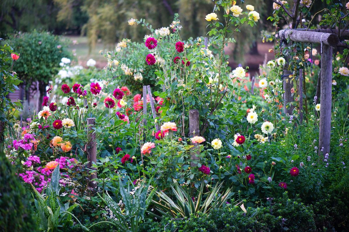 Picking Garden