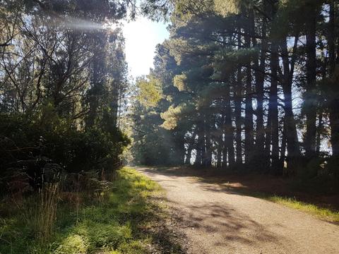 Devilbend Reservoir Walk