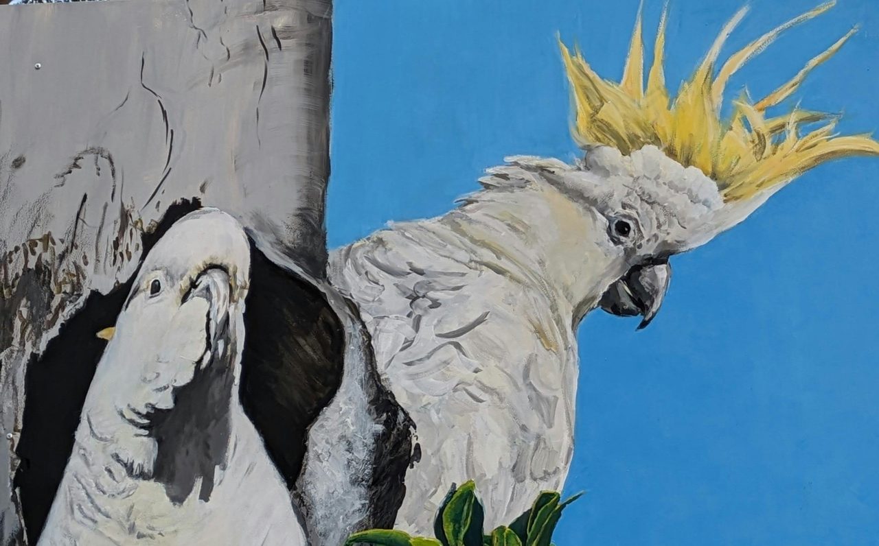 Cockatoo by Christine Pike at Gresford Arboreturm