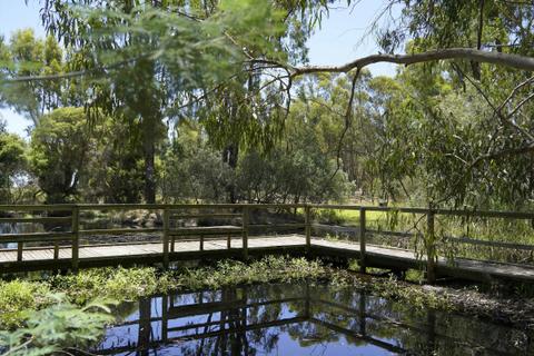 Cussen Park