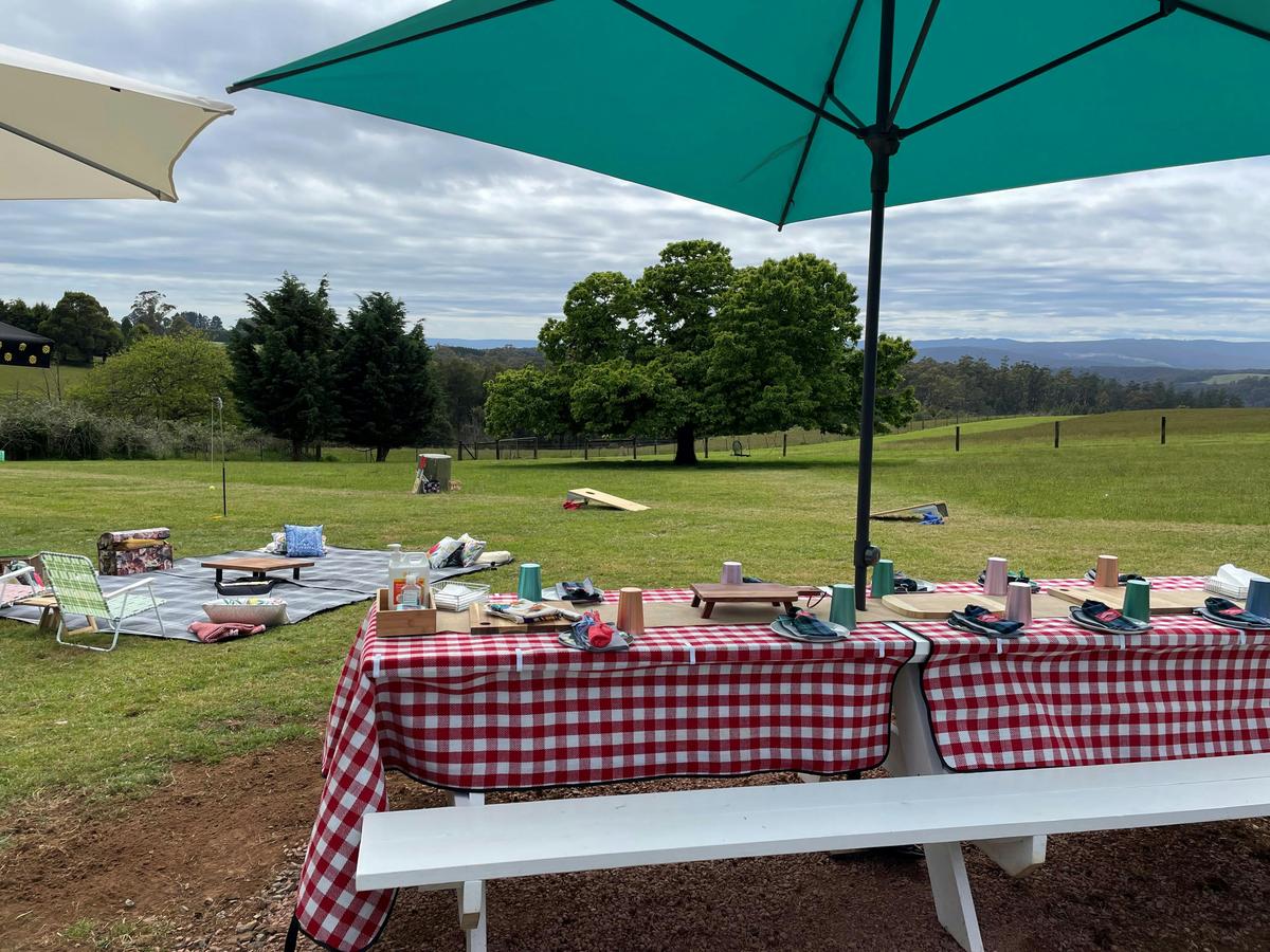 Picnic in the paddock with games