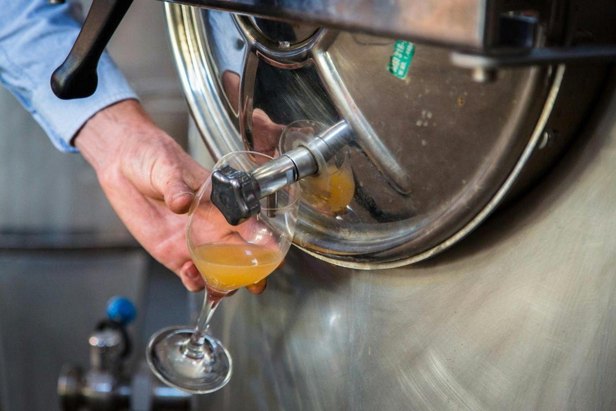 Making Cider