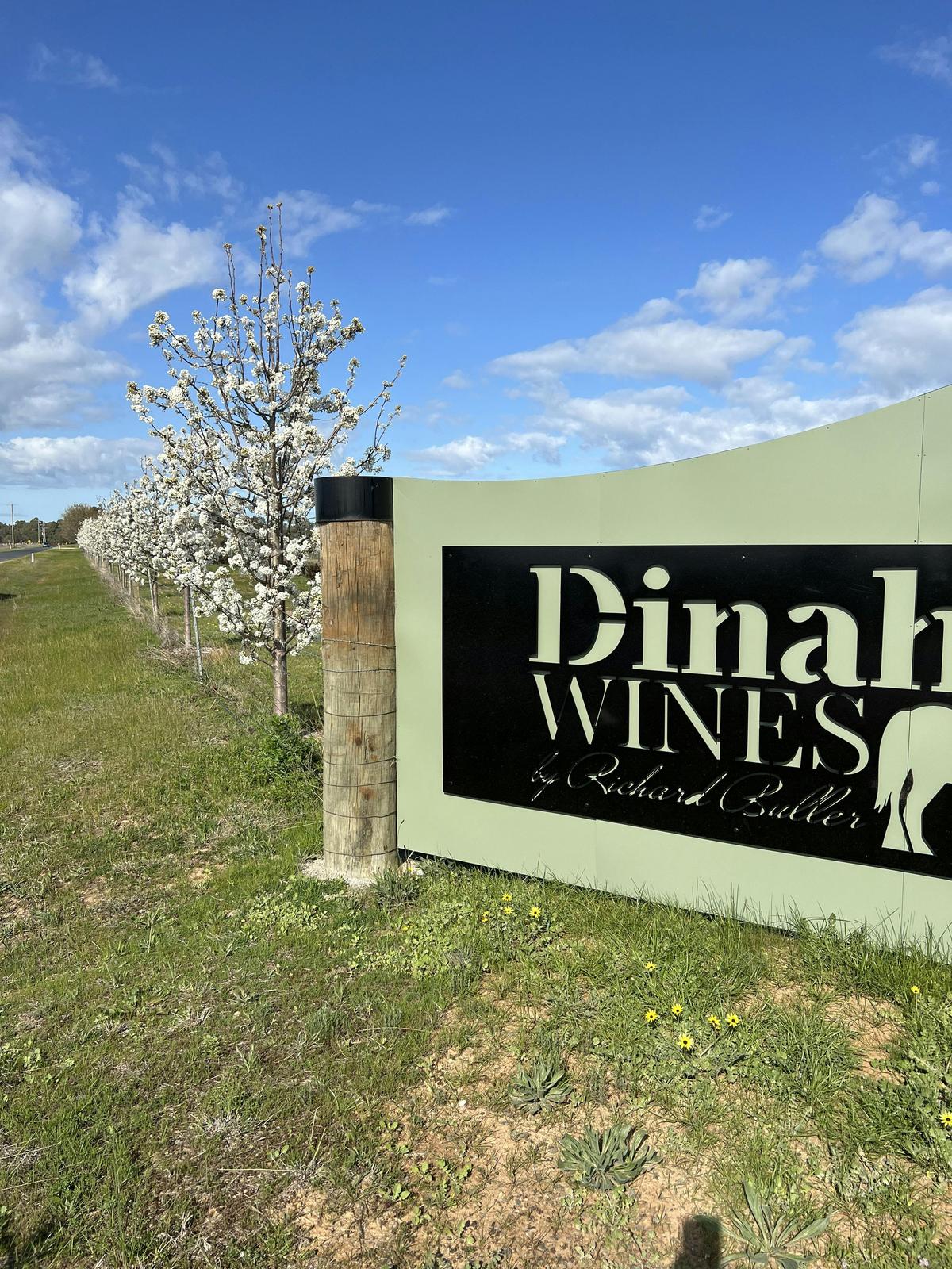 Dinah Wines