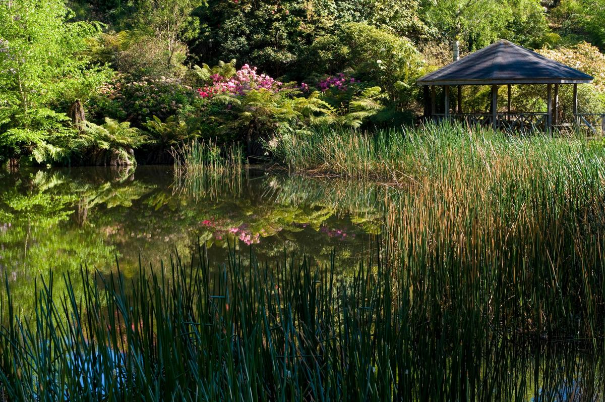 Dandenong Ranges Botanic Garden. Credit: Parks Victoria