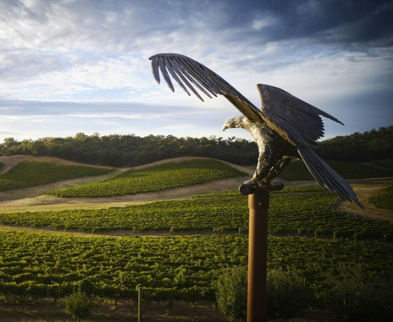 Eagle Single Vineyard