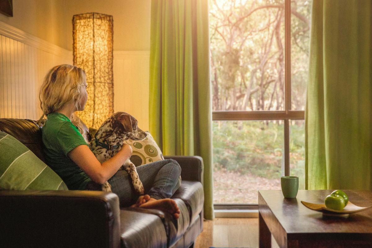 Ferny Reach lounging