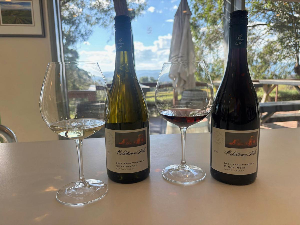 Single Vineyard Tasting