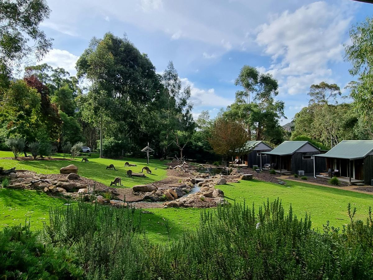 Wildlife ponds & garden