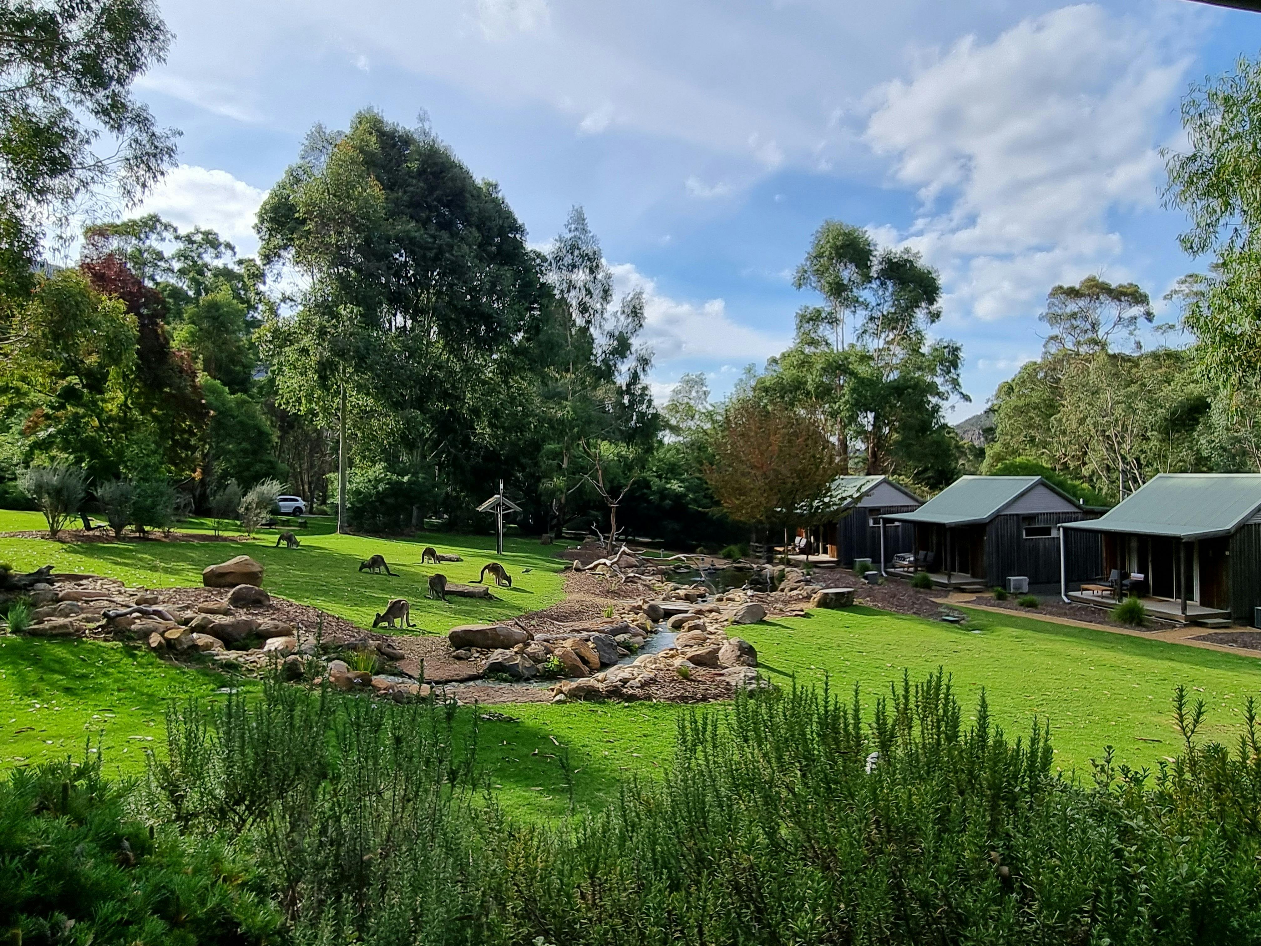 Wildlife ponds & garden