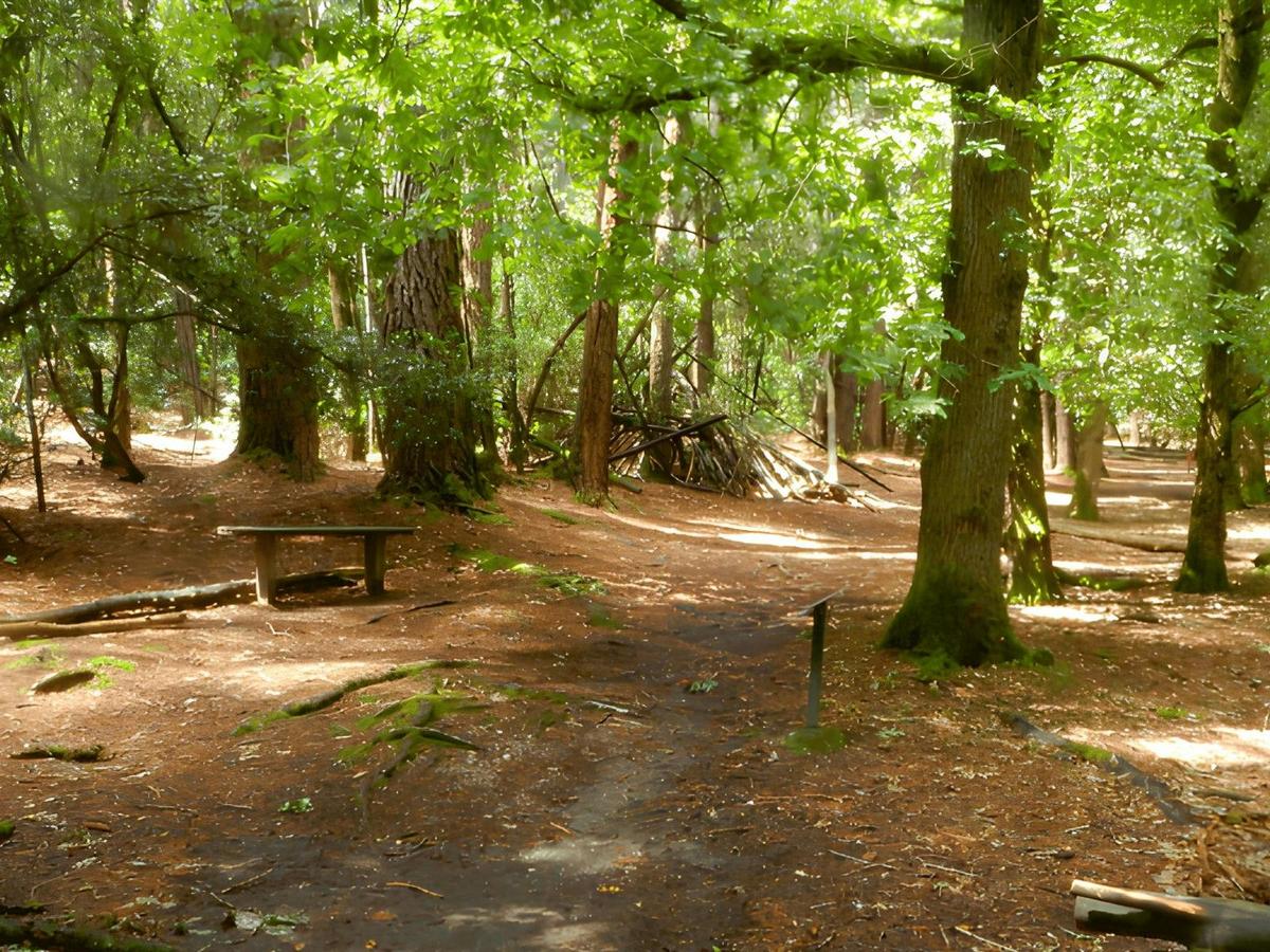 Goldfields Walking Track - Creswick Regional Park
