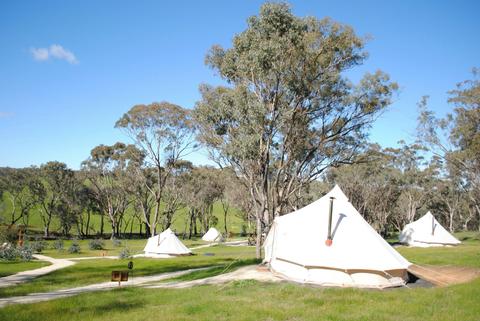Cosy Tents - Campsite