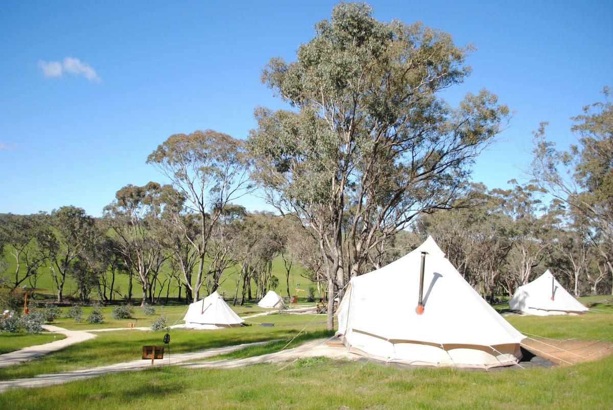 Cosy Tents - Campsite