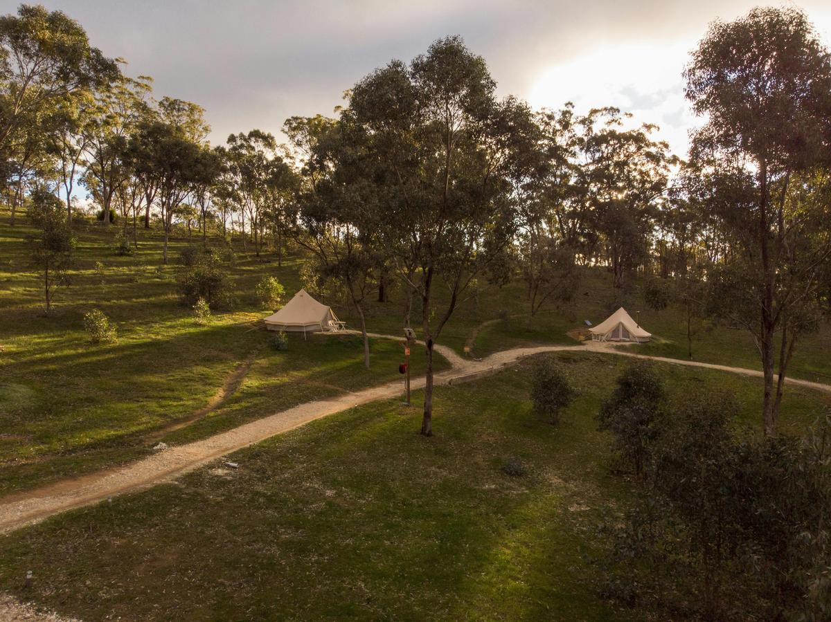 Cosy Tents