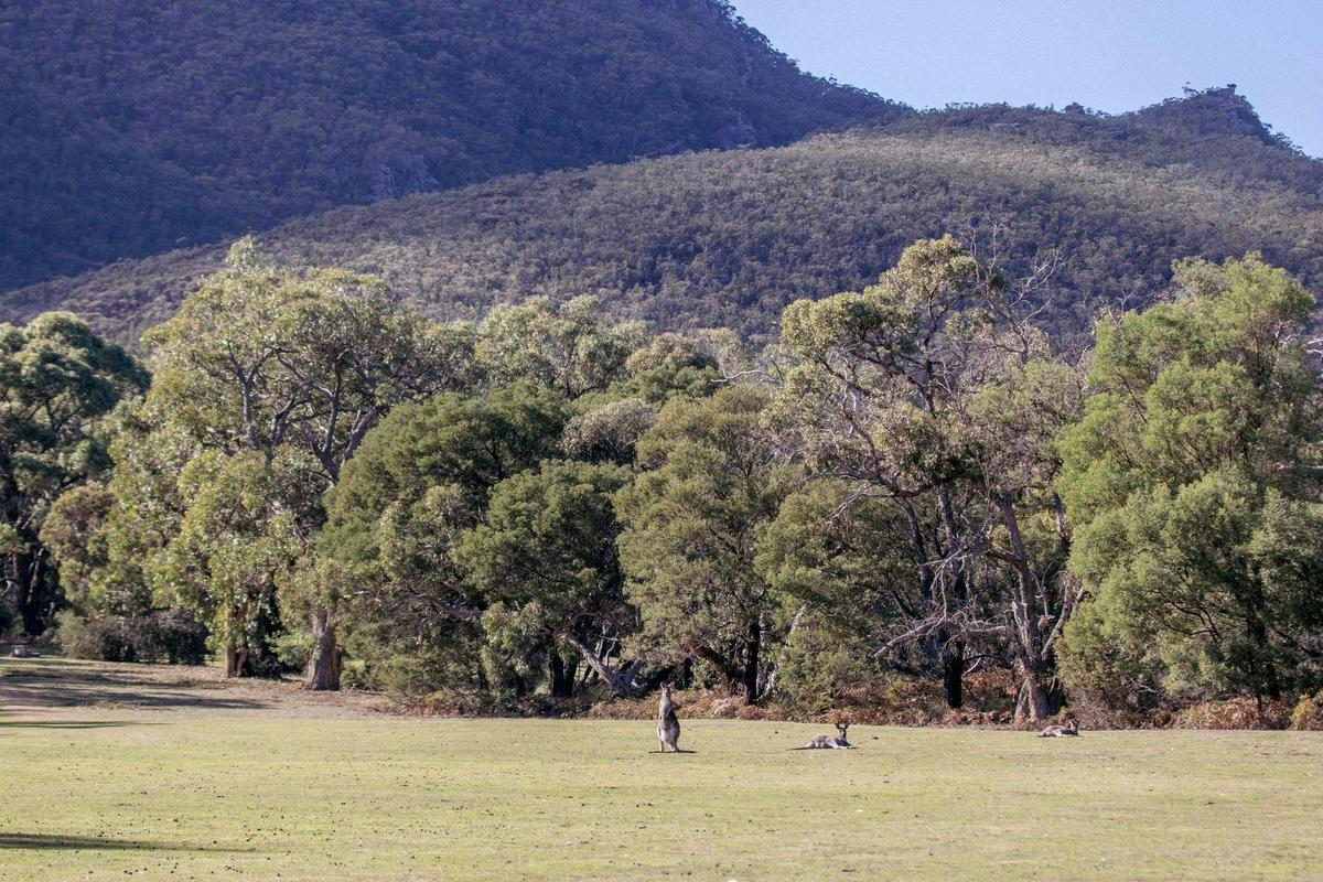 Fairway of the Dunkeld Golf Course with