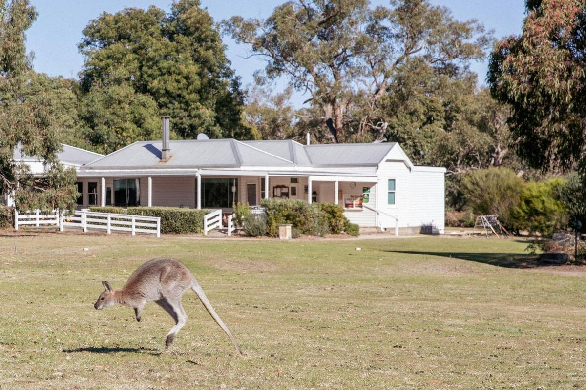 White clubhouse with a kangaroo jumping through the foreground