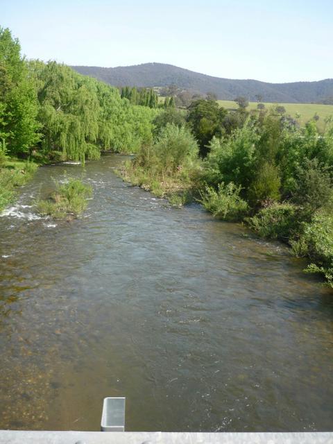 Dargo Heritage Museum