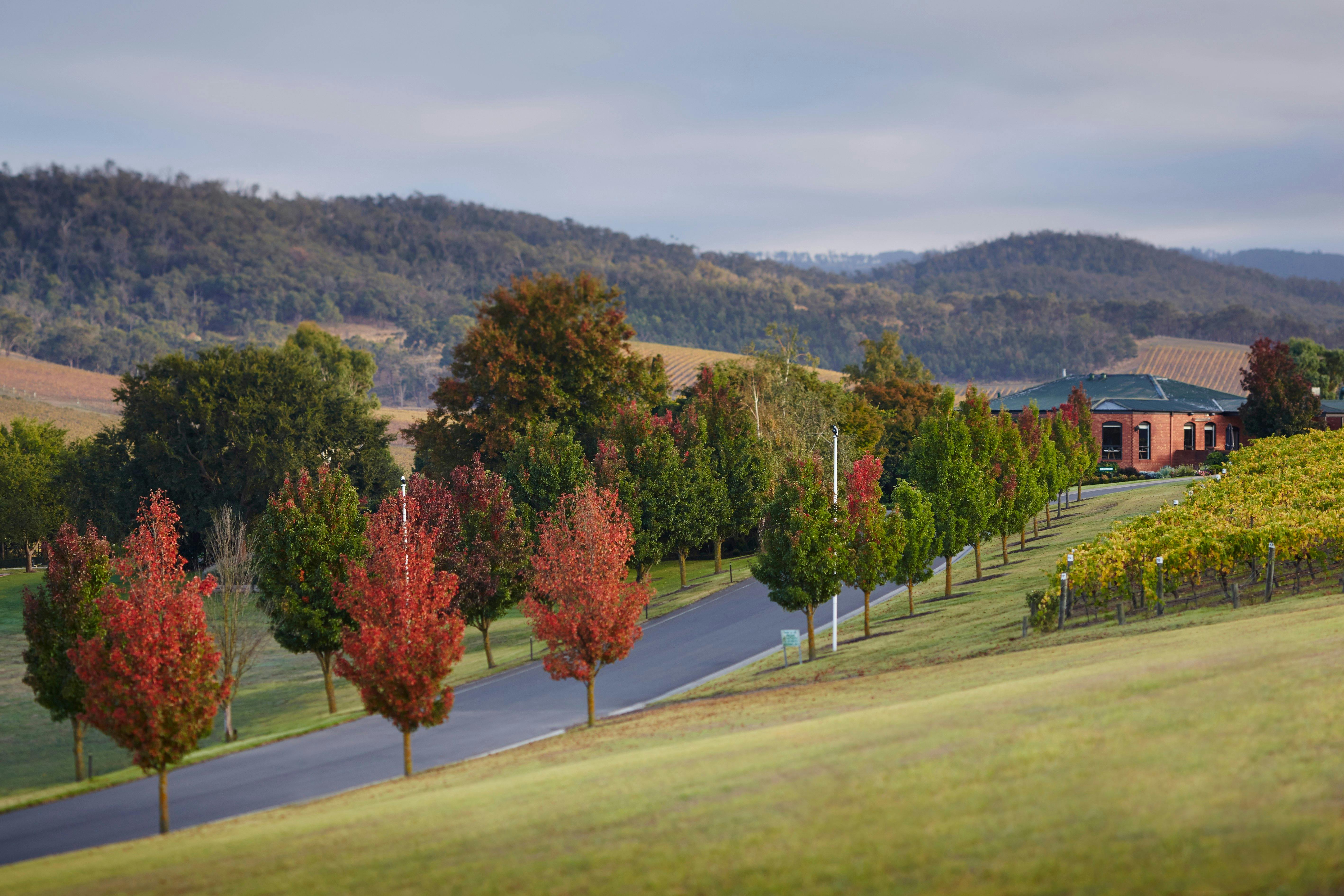 Driveway to the restaurant
