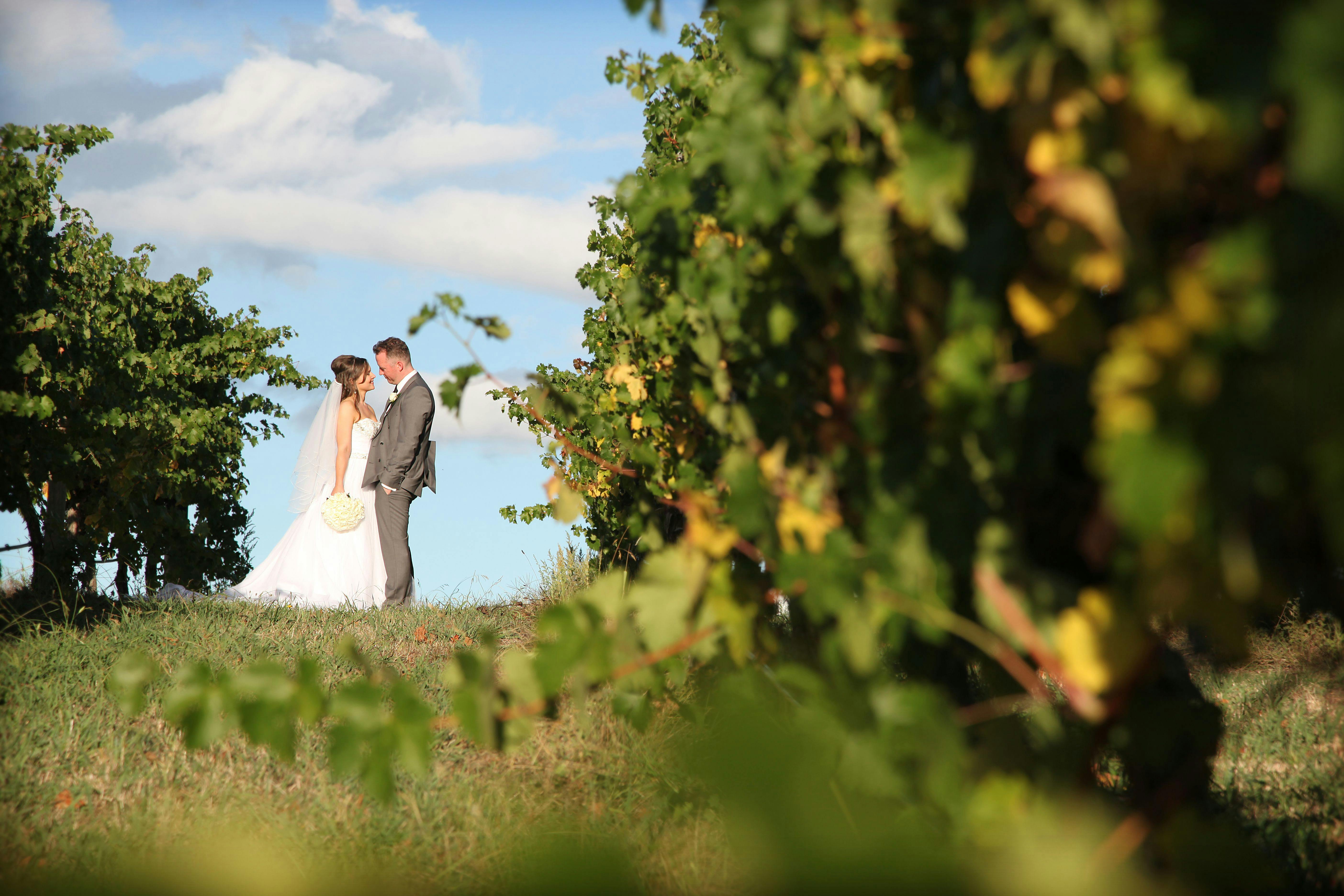 Wedding at De Bortoli